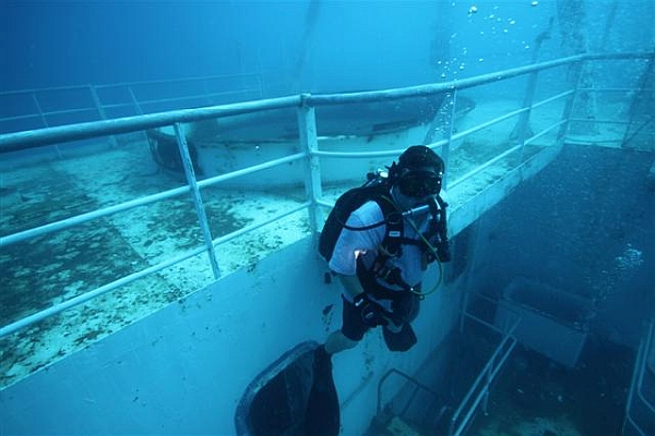 M.R. Ange First Dive